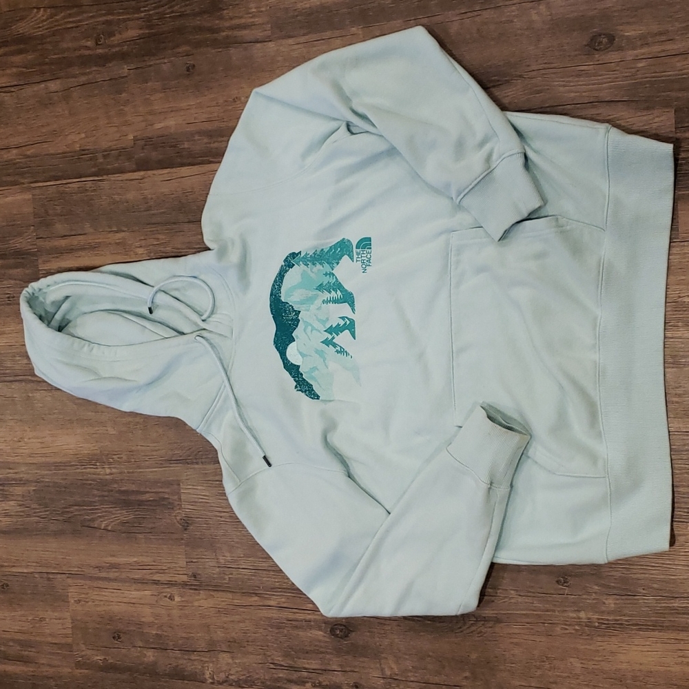 North face bear hoodie